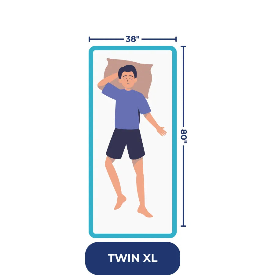 
                    Twin XL: 38” x 80”  
                  